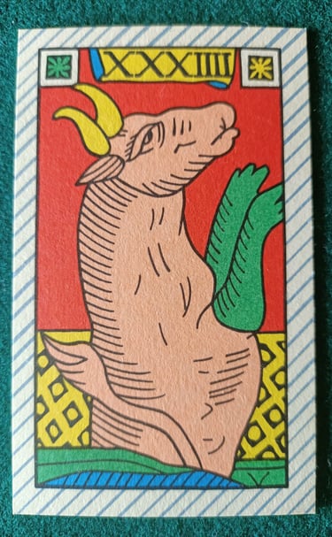 Tauro Solleone 1980