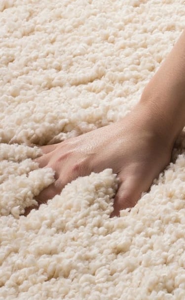 a hand on shag carpet in katy texas