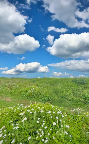 Miranjani peak in summer 