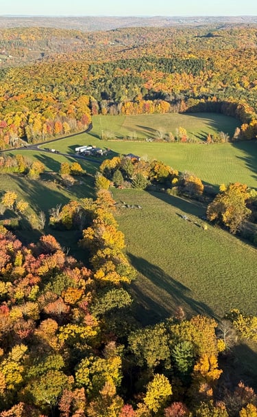 a view of a farm in the fall