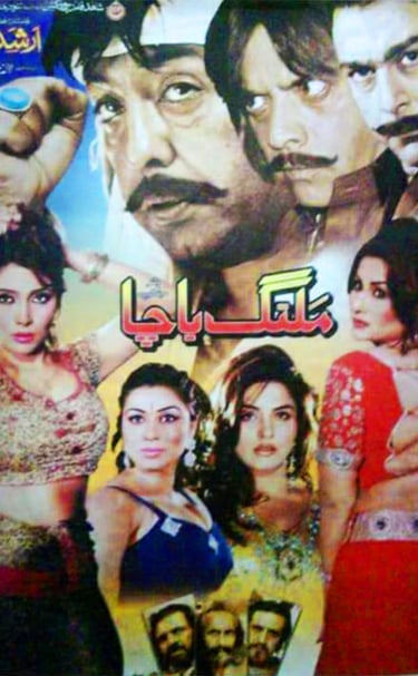 Malang Bacha(Pashto 2012)Written By Saleem Murad.Shahid Khan, Sonu Lal, Khushboo, Shan Shahid,Nargis