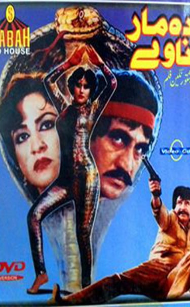 Da mar Navy	Pashto	18, May 1988	Bedar Bakht, Suneeta, Baddar Muneer, Babra Raj