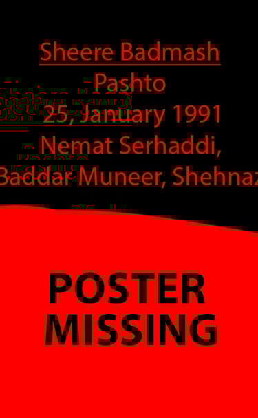 Sheere Badmash	Pashto	25, January 1991	Nemat Serhaddi, Baddar Muneer, Shehnaz