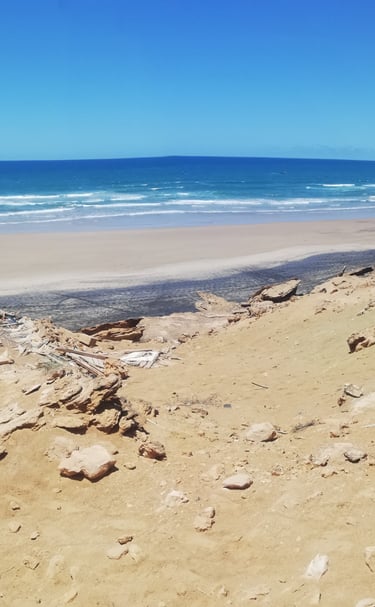 Projet Titan Beach (Steadright Critical Minerals Inc), Tantan, Guelmim - Oued Noun.