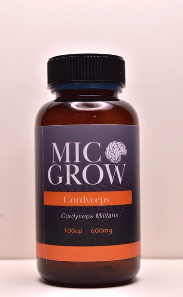 Cordyceps