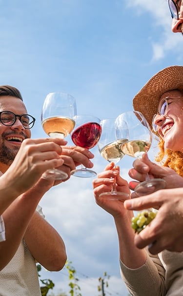 Group drinking wine