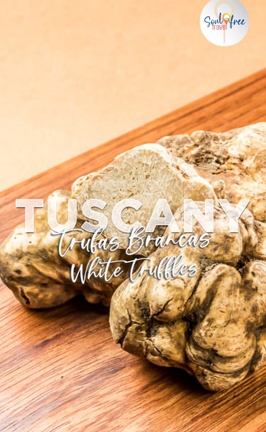 tartufo, toscana, vino, wine, florença, tour, passeio, decolar