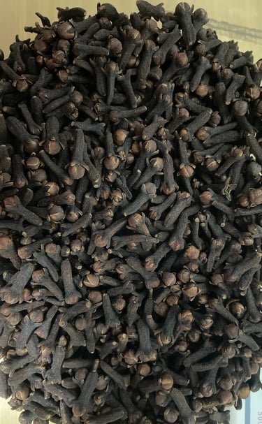indonesian exporter high quality clover