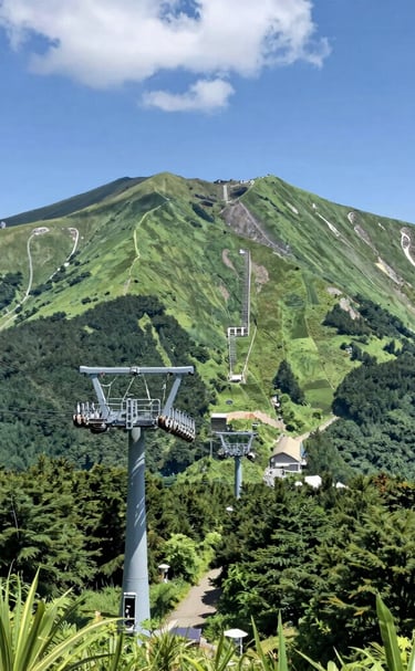 Group meditation session outdoors with lush greenery and soft morning light in a Japanese garden.