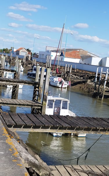 Le Port des Brochets à Bouin