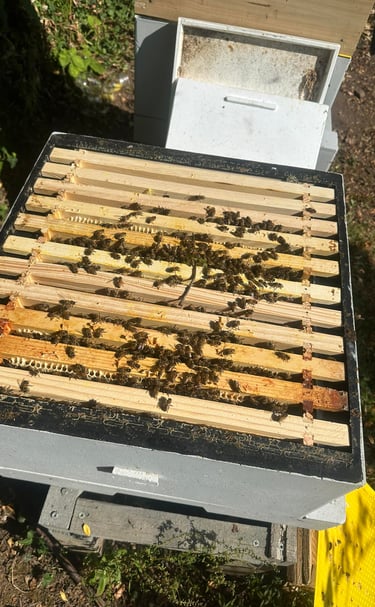 a beehive with bees on a beehive