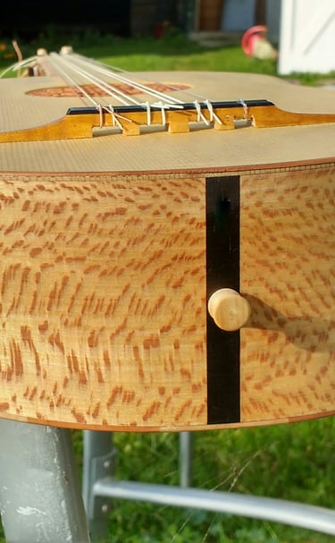 4 course guitar with slotted bridge