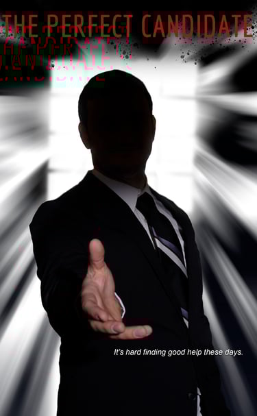 A sinister job offer, The Perfect Candidate, Poster, 2020