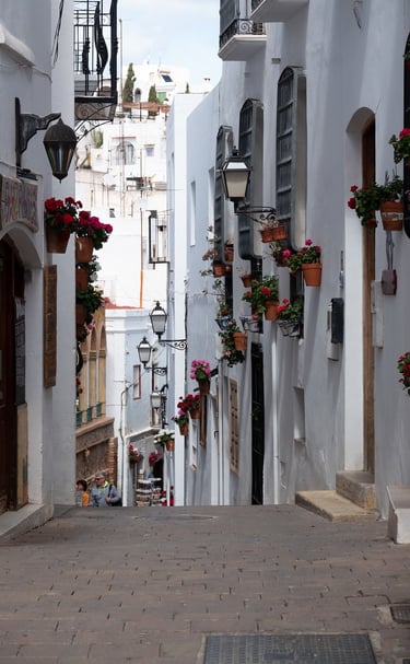 Calle del pueblo de Mojacar y su casco antiguo