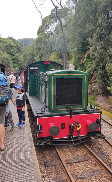 old style coal-powered green train in the tropical forest in Tasmania