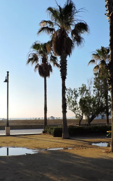 Panoramic view of Malvarrosa Beach in Valencia,