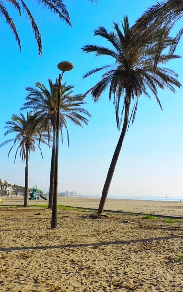 Playa de la Patacona con palmeras y el mar al fondo