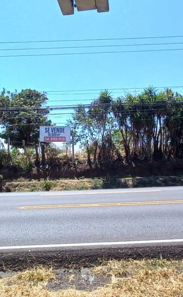 Propiedad Comercial
