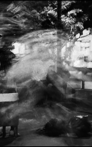 Somnio: a man sitting on a bench in a park