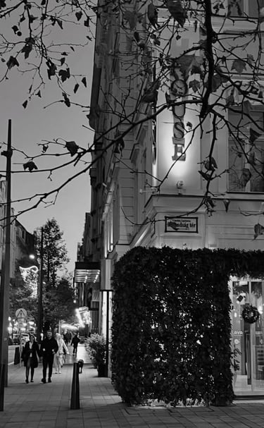 Festive street view in Budapest