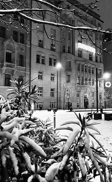 Snowy street view in Budapest
