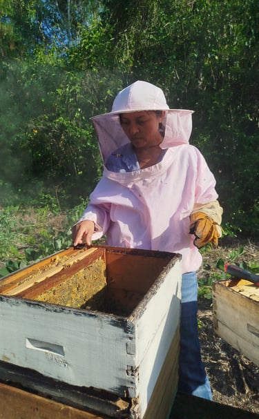 A beekeeper in a protective pink suit and veil inspects a wooden beehive frame outdoors.