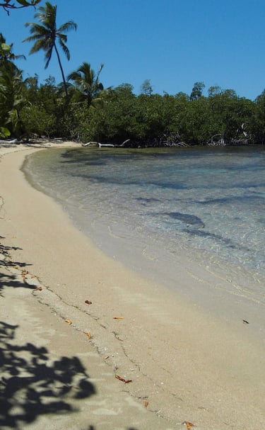 Calm sandy beach with mangroves;Playa de arena tranquila con manglares