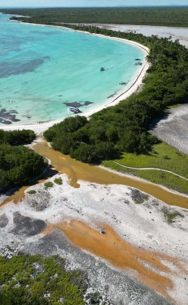 Saona Island
