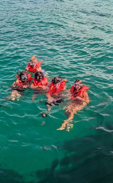 Saona Island Snorkeling