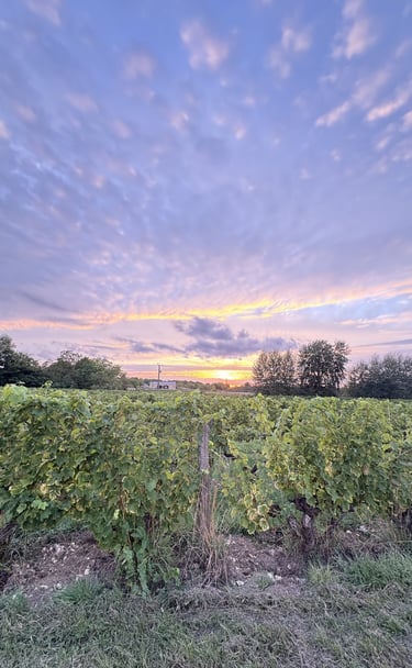 Closerie de chanteloup vignes Amboise 2025