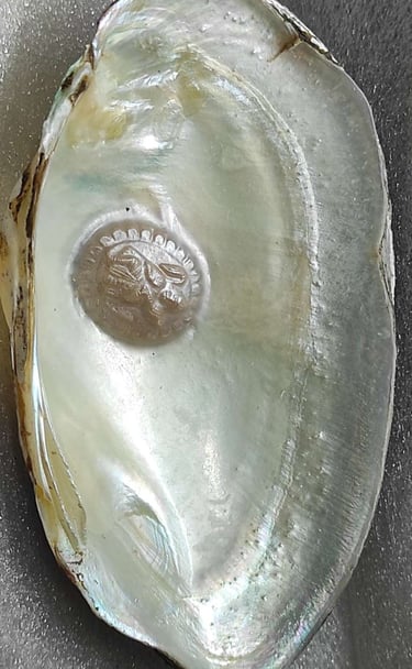 "Divine face designer pearl in white, approx 11mm–angled side view-Export-standard"