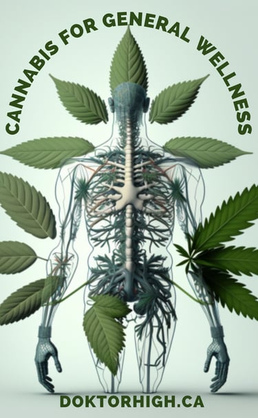 cannabis for general wellness book cover Doktorhigh