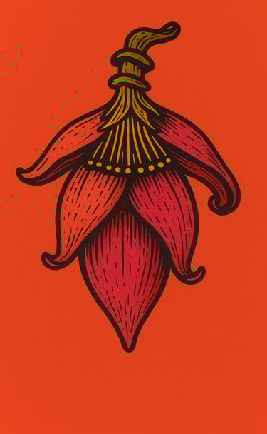 banana blossom krabi collective branding