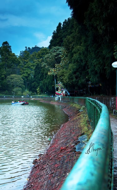 a person walking along a path near a Aritar lake