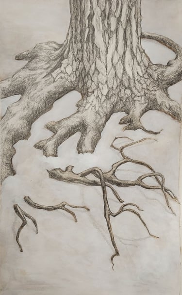 Tree roots in snow