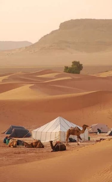 nomadic tent in chigaga desert zagora with soul of nomads