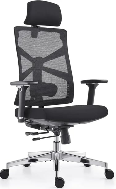HOLLUDLE Silla con Respaldo Adaptativo, Soporte Lumbar y Reposacabezas 2D, Negro