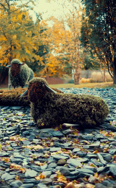 Halloween Montréal Photographie Autumn Fall