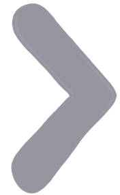 Next Image