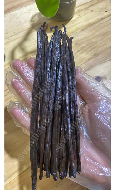 Vanilla beans on hand