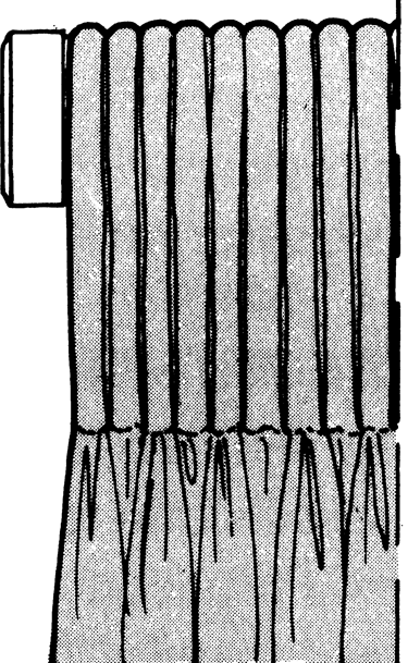 Schéma représentant une tête de rideaux flamande
