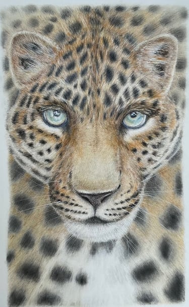 Leopard