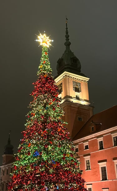 Royal Castle and Christmas tree warsaw