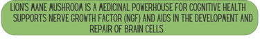 Mane Brain™ offers premium mushroom-based wellness products designed to support focus, memory,.