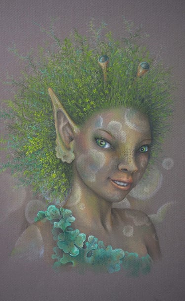 'Shimmie' a nimble forest faerie