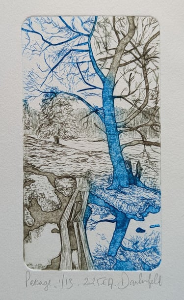 Lande tourbière mazure Creuse tetrapak gravure