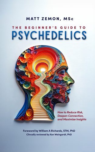 The Beginner's Guide To Psychedelics: How to Reduce Risk, Deepen Connection, and Maximize Insights 
