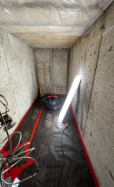 cold cellar before