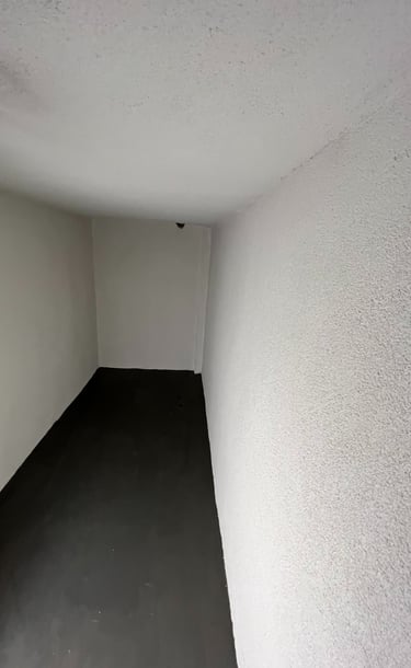 cold cellar after