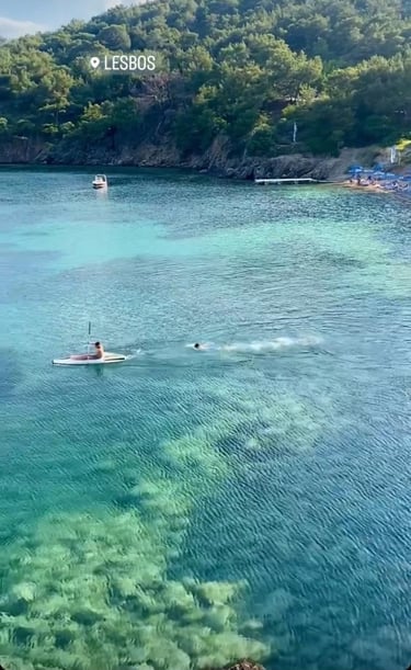 Baignade à Skala Ermogenis - Ile grecque de Lesbos